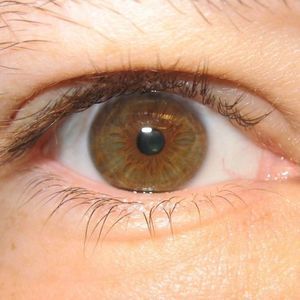 Meet your Posher, Terry